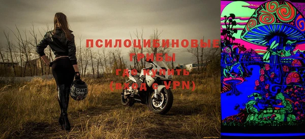 хмурый Мегион