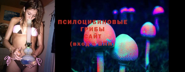хмурый Мегион