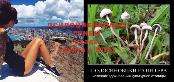 амф Медногорск