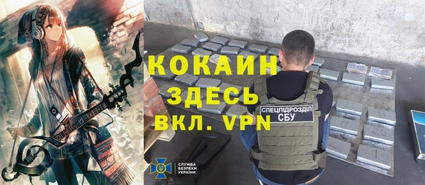 хмурый Мегион