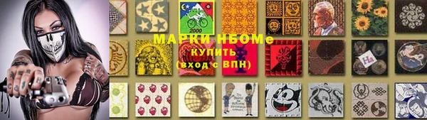 хмурый Мегион