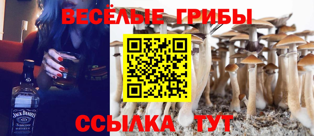 Псилоцибиновые грибы мицелий  дарнет шоп  Евпатория  Вход с VPN 