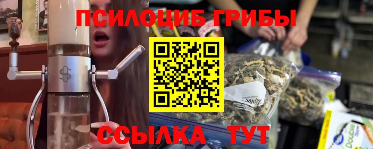 Галлюциногенные грибы мицелий Евпатория